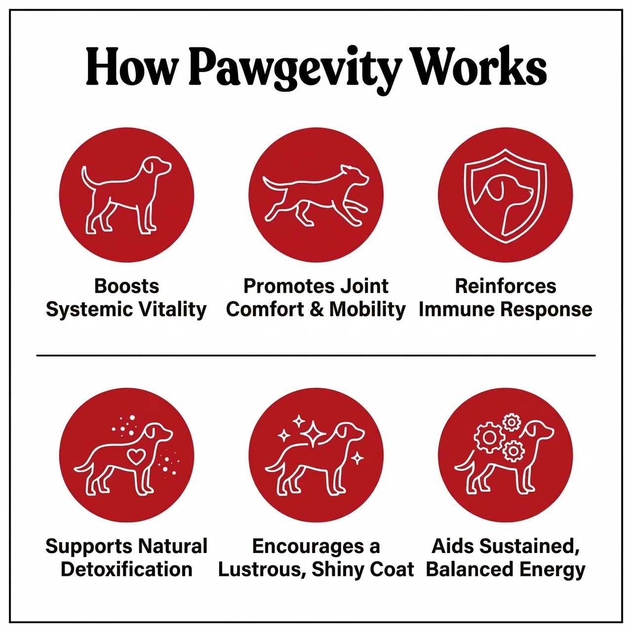 Pawgevity Herbal Blend®