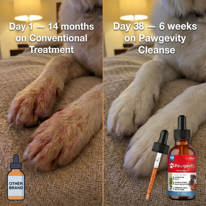 Pawgevity Herbal Blend®